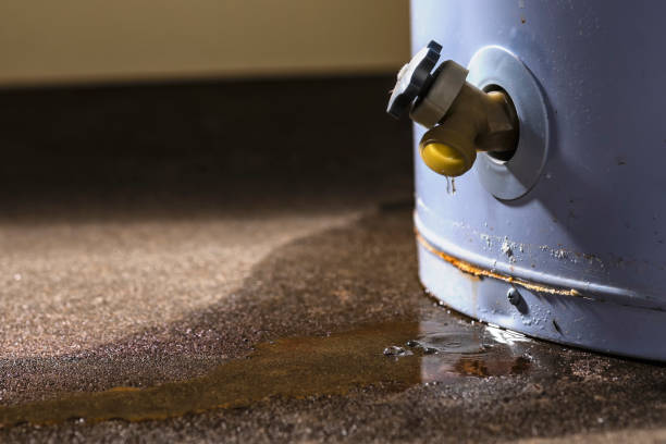 Best Water damage restoration insurance claims  in Whitehouse, OH