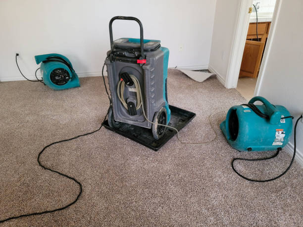 Best 24/7 water damage repair  in Whitehouse, OH