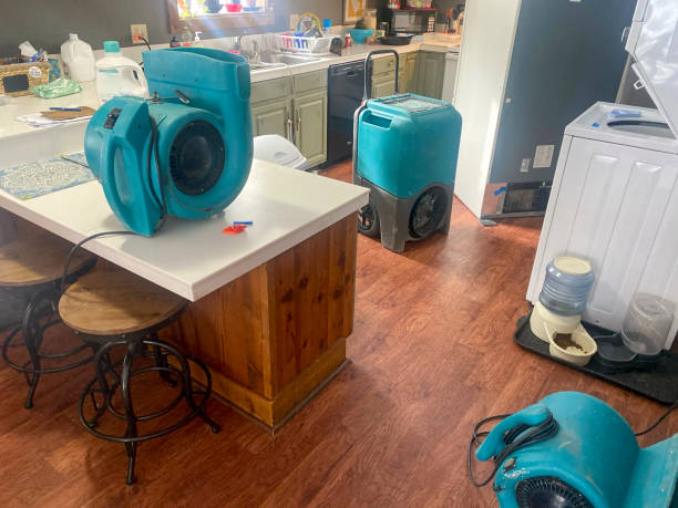 Best Emergency water damage restoration  in Whitehouse, OH