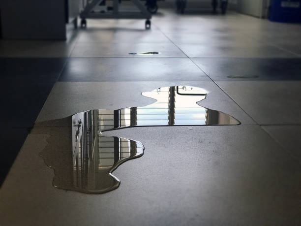 Best Professional water damage repair  in Whitehouse, OH