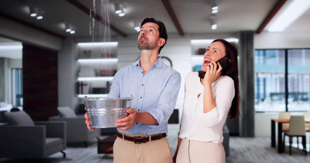 Best Water damage contractors near me  in Whitehouse, OH