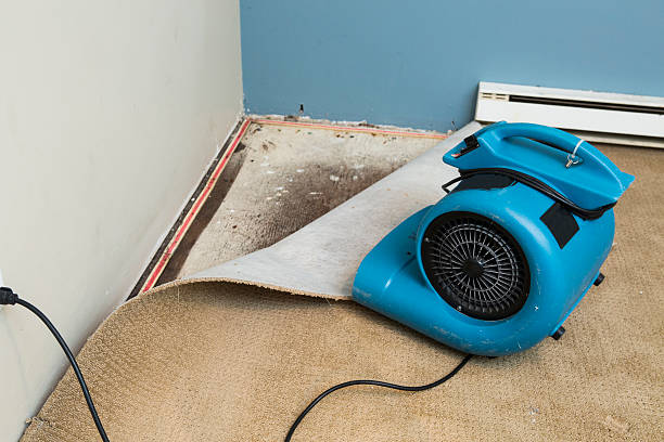 Best Water damage restoration cost  in Whitehouse, OH